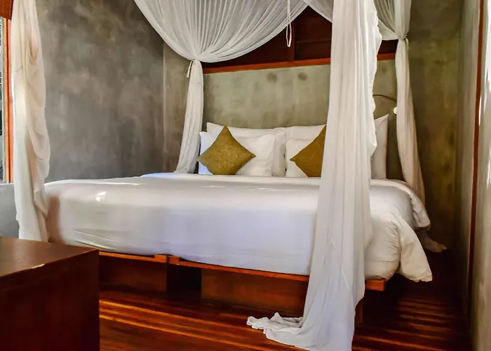 Zin Berawa & 4* Canggu (Bali)