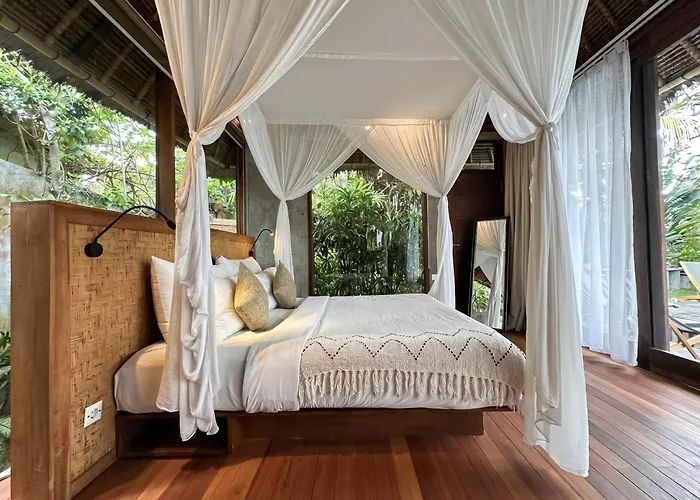 Zin Berawa & Canggu (Bali)